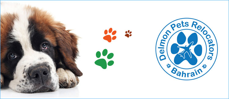 Delmon Pets Relocators - Bahraiin